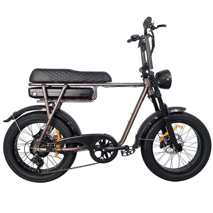 Coast Cruiser E-bike